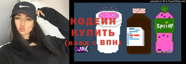 скорость Вяземский