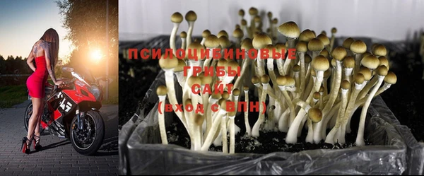 ECSTASY Володарск